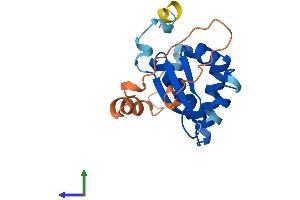 AlphaFold protein structure predicition of Mouse Recombinant Khdc1a Protein, UniprotID Q3UWR2