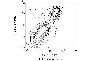 CD3e expression in spleen and thymus. (CD3 epsilon antibody)