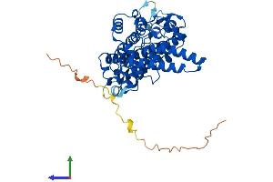 Protein Structure (PS) image for Tryptophan 2,3-Dioxygenase (TDO2) (AA 1-406) protein (His tag) (ABIN7544287)