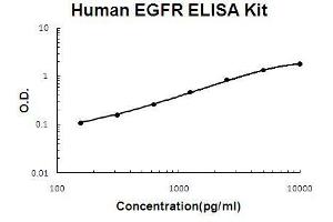 Human EGFR PicoKine ELISA Kit standard curve (EGFR ELISA Kit)