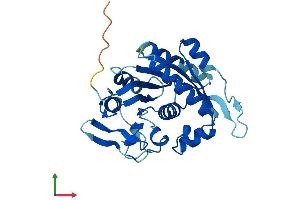 Protein Structure (PS) image for Nucleotide Binding Protein 2 (NUBP2) (AA 1-275) protein (His tag) (ABIN7556181)