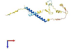 Methyl-CpG Binding Domain Protein 3-Like 4 (MBD3L4) (AA 1-208) protein (His tag)