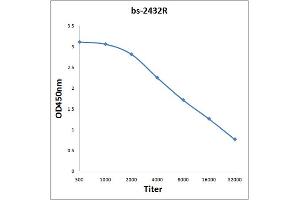 Antigen: 0. (ATG7 antibody  (AA 21-120))