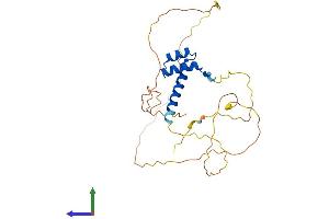 AlphaFold protein structure predicition of Mouse Recombinant Otx2 Protein, UniprotID P80206 (OTX2 Protein (AA 1-289) (His tag))