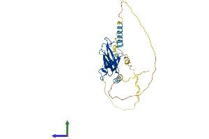 AlphaFold protein structure predicition of Mouse Recombinant Eaf1 Protein, UniprotID Q9D4C5 (EAF1 Protein (AA 1-268) (His tag))
