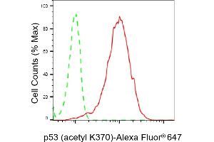 Flow cytometric analysis of p53 (acetyl K370) expression in HepG2 cells using p53 (acetyl K370) antibody (ABIN7800682), 1:2,000). (Recombinant p53 antibody  (acLys370))