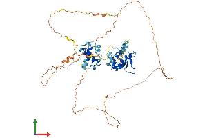Protein Structure (PS) image for Ets Variant 6 (ETV6) (AA 1-452) protein (His tag) (ABIN7547461)