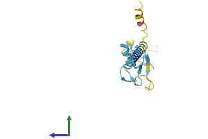 AlphaFold protein structure predicition of Human Recombinant RNF122 Protein, UniprotID Q9H9V4