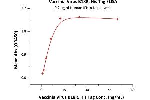 Immobilized Human IFN-α1a at 2 μg/mL (100 μL/well) can bind Vaccinia Virus B18R, His Tag (ABIN2870853,ABIN2870854) with a linear range of 0. (Vaccinia Virus B18R (VACV B18R) (AA 20-351) (Active) protein (His tag))