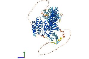 AlphaFold protein structure predicition of Mouse Recombinant Kat2b Protein, UniprotID Q9JHD1 (KAT2B Protein (AA 1-813) (His tag))