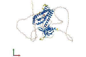 AlphaFold protein structure predicition of Mouse Recombinant Net1 Protein, UniprotID Q9Z206