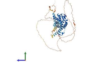 Protein Structure (PS) image for G Protein-Coupled Receptor 152 (GPR152) (AA 1-511) protein (His tag) (ABIN7559006)