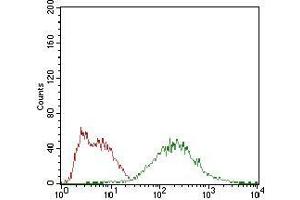 Flow cytometric analysis of HepG2 cells using EIF2A mouse mAb (green) and negative control (red). (EIF2A antibody  (AA 448-576))
