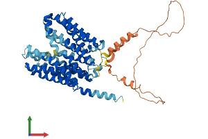 AlphaFold protein structure predicition of Mouse Recombinant Slc16a4 Protein, UniprotID Q8R0M8