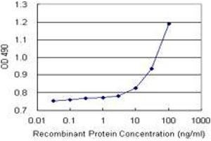Sandwich ELISA detection sensitivity ranging from 10 ng/mL to 100 ng/mL. (CNDP2 (Human) Matched Antibody Pair)