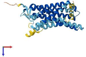 AlphaFold protein structure predicition of Human Recombinant OR13C7 Protein, UniprotID P0DN81 (OR13C7 Protein (AA 1-318) (His tag))