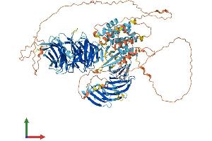AlphaFold protein structure predicition of Human Recombinant WDR72 Protein, UniprotID Q3MJ13 (WDR72 Protein (AA 1-1102) (His tag))