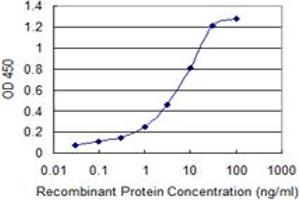 Detection limit for recombinant GST tagged SPN is 0. (CD43 antibody  (AA 1-400))