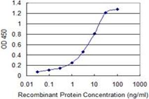 Detection limit for recombinant GST tagged SPN is 0.