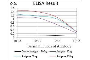 ELISA image for anti-CD6 (CD6) (AA 18-199) antibody (ABIN5542300)