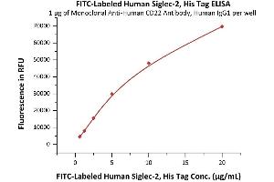 Immobilized Monoclonal A CD22 Antibody, Human IgG1 at 10 μg/mL (100 μL/well) can bind Fed Human Siglec-2, His Tag (ABIN6253202,ABIN6253526) with a linear range of 0. (CD22 Protein (AA 20-687) (His tag,FITC))
