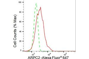 Flow cytometric analysis of ARPC2 expression in HT- cells using ARPC2 antibody (ABIN7797453), 1:2,000).