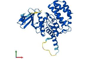 AlphaFold protein structure predicition of Human Recombinant FN3K Protein, UniprotID Q9H479 (FN3K Protein (AA 1-309) (His tag))
