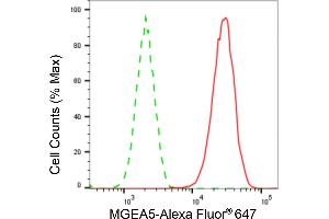 Flow cytometric analysis of MGEA5 expression in HAP-1 cells using MGEA5 antibody (ABIN7799372), 1:2,000). (Recombinant MGEA5 antibody)