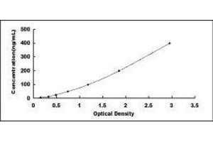 ELISA image for Amyloid P Component, Serum (APCS) ELISA Kit (ABIN3166046) (APCS ELISA Kit)