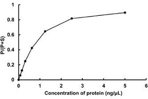 Image no. 2 for Serine/threonine-Protein Kinase NIM1 (NIM1) (AA 1-436) (Active) protein (GST tag) (ABIN5570534)