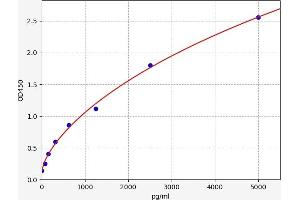 Typical standard curve (Aminomethyltransferase ELISA Kit)