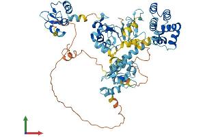 AlphaFold protein structure predicition of Human Recombinant BIRC3 Protein, UniprotID Q13489