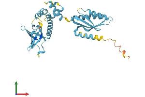 AlphaFold protein structure predicition of Human Recombinant EIF2S1 Protein, UniprotID P05198
