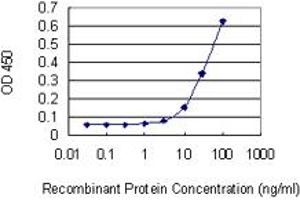 Detection limit for recombinant GST tagged VSTM2L is 3 ng/ml as a capture antibody. (VSTM2L antibody  (AA 25-204))