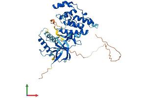 AlphaFold protein structure predicition of Human Recombinant MAPK9 Protein, UniprotID P45984 (JNK2 Protein (AA 1-424) (His tag))