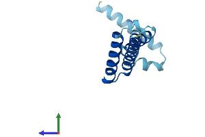 AlphaFold protein structure predicition of Human Recombinant MPC2 Protein, UniprotID O95563 (BRP44 Protein (AA 1-127) (His tag))