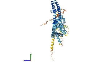 AlphaFold protein structure predicition of Human Recombinant KCNG1 Protein, UniprotID Q9UIX4 (KCNG1 Protein (AA 1-513) (His tag))