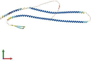 AlphaFold protein structure predicition of Mouse Recombinant Krt17 Protein, UniprotID Q9QWL7 (KRT17 Protein (AA 1-433) (His tag))