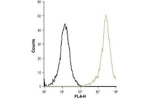 Cell surface detection of CysLTR1 in live intact THP-1 (acute monocytic leukemia) cells: (black line) Cells + goat-anti-rabbit-Cy5. (CysLTR1 antibody  (Extracellular))