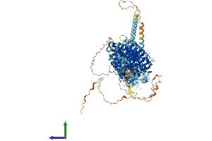 Protein Structure (PS) image for Solute Carrier Family 12 (Sodium/potassium/chloride Transporters), Member 1 (SLC12A1) (AA 1-1095) protein (His tag) (ABIN7563453)
