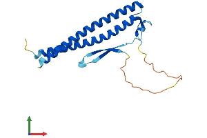 AlphaFold protein structure predicition of Human Recombinant CCDC115 Protein, UniprotID Q96NT0