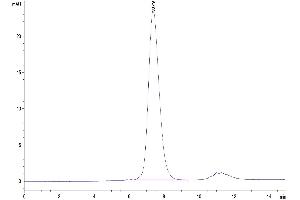 The purity of Human FGFR2 beta (IIIc) is greater than 95 % as determined by SEC-HPLC.