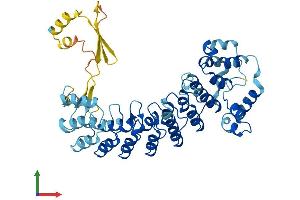 AlphaFold protein structure predicition of Mouse Recombinant Asb18 Protein, UniprotID Q8VHA6 (ASB18 Protein (AA 1-467) (His tag))