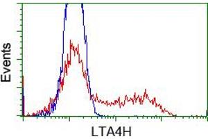 Image no. 1 for anti-Leukotriene A4 Hydrolase (LTA4H) antibody (ABIN1499213) (LTA4H antibody)
