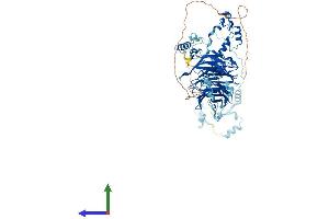 AlphaFold protein structure predicition of Human Recombinant BOP1 Protein, UniprotID Q14137 (BOP1 Protein (AA 1-746) (His tag))