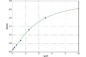 TNF Receptor-Associated Factor 6 (TRAF6) ELISA Kit
