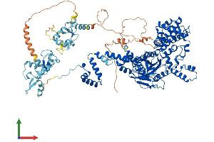 AlphaFold protein structure predicition of Human Recombinant RAG1 Protein, UniprotID P15918 (RAG1 Protein (AA 1-1043) (His tag))
