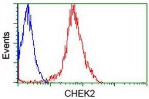 Flow Cytometry (FACS) image for anti-Checkpoint Kinase 2 (CHEK2) antibody (ABIN1497499) (CHEK2 antibody)