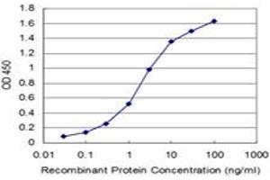 Detection limit for recombinant GST tagged FADD is approximately 0. (FADD antibody  (AA 109-208))