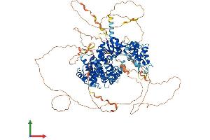 AlphaFold protein structure predicition of Mouse Recombinant Fam120c Protein, UniprotID Q8C3F2 (FAM120C Protein (AA 1-1091) (His tag))
